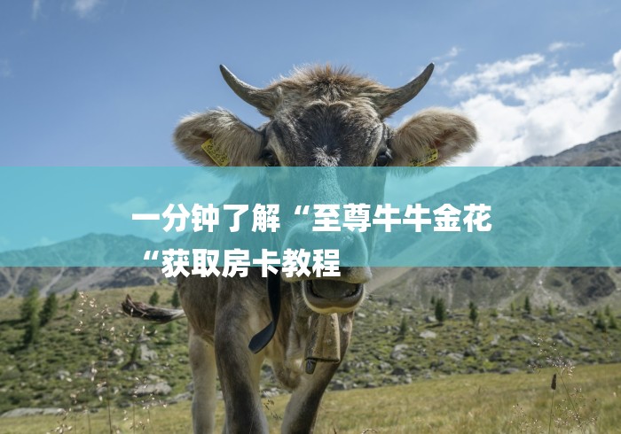 一分钟了解“至尊牛牛金花
“获取房卡教程