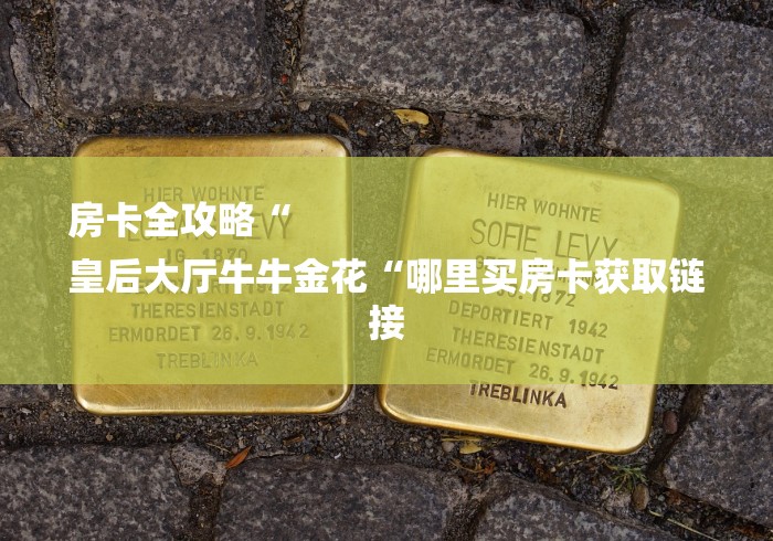 房卡全攻略“
皇后大厅牛牛金花“哪里买房卡获取链接
