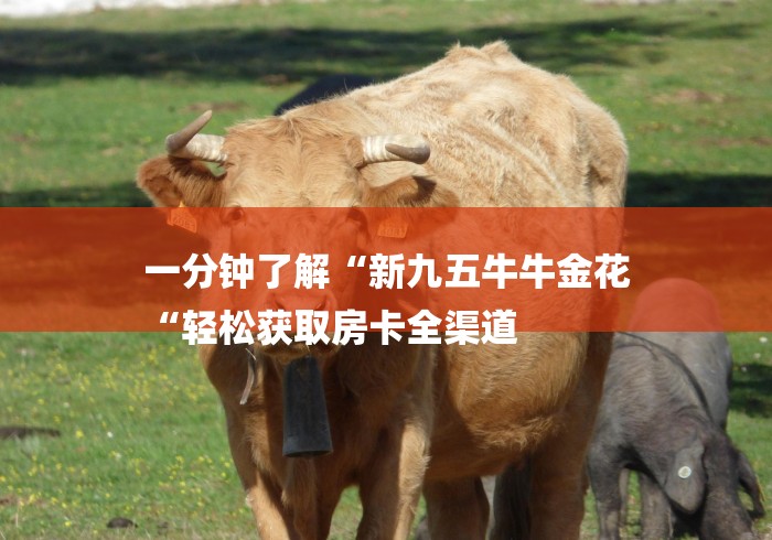 一分钟了解“新九五牛牛金花
“轻松获取房卡全渠道
