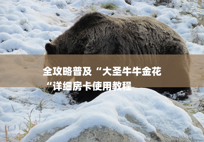 全攻略普及“大圣牛牛金花
“详细房卡使用教程