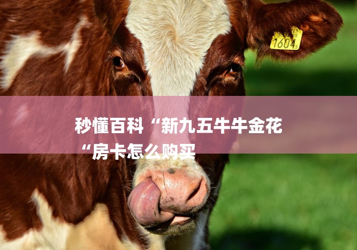 秒懂百科“新九五牛牛金花
“房卡怎么购买 秒懂百科“新九五牛牛金花
“房卡怎么购买