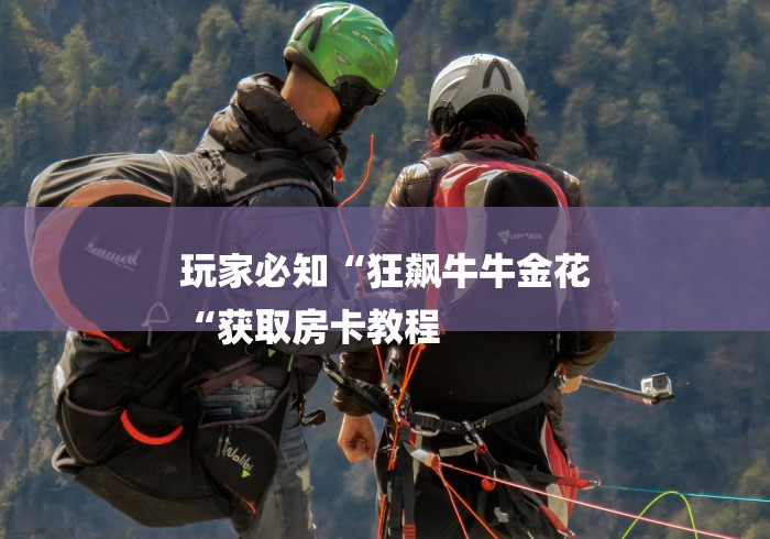 玩家必知“狂飙牛牛金花
“获取房卡教程