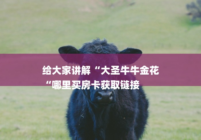 给大家讲解“大圣牛牛金花
“哪里买房卡获取链接