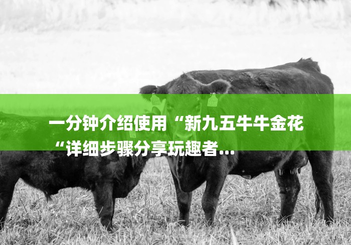 一分钟介绍使用“新九五牛牛金花
“详细步骤分享玩趣者... 一分钟介绍使用“新九五牛牛金花
“详细步骤分享玩趣者...