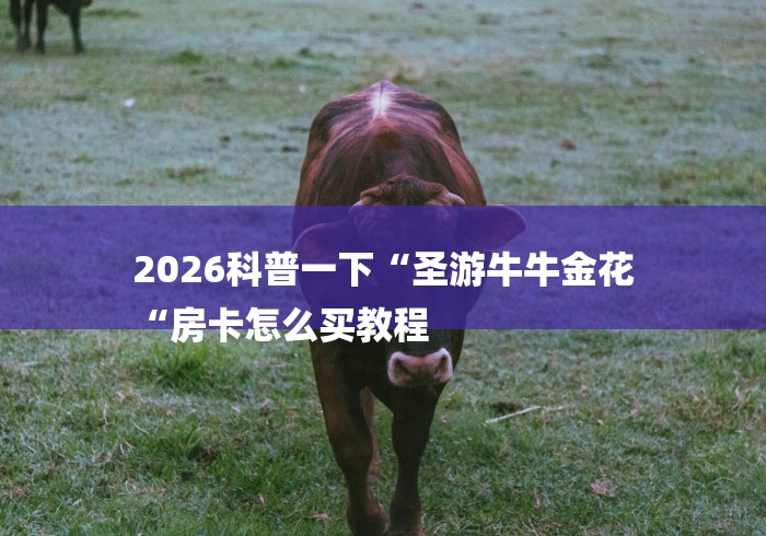 2026科普一下“圣游牛牛金花
“房卡怎么买教程