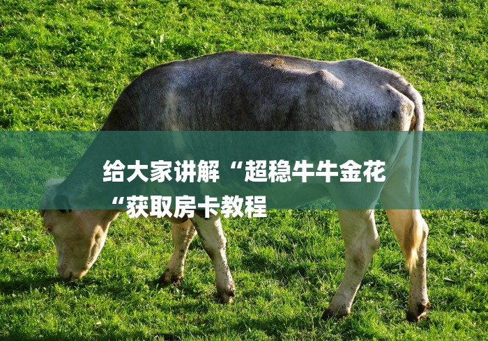 给大家讲解“超稳牛牛金花
“获取房卡教程 给大家讲解“超稳牛牛金花
“获取房卡教程