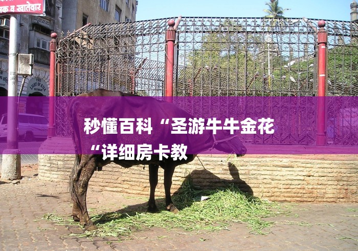 秒懂百科“圣游牛牛金花
“详细房卡教 秒懂百科“圣游牛牛金花
“详细房卡教