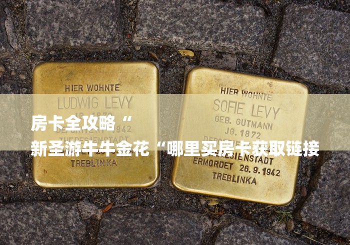 房卡全攻略“
新圣游牛牛金花“哪里买房卡获取链接