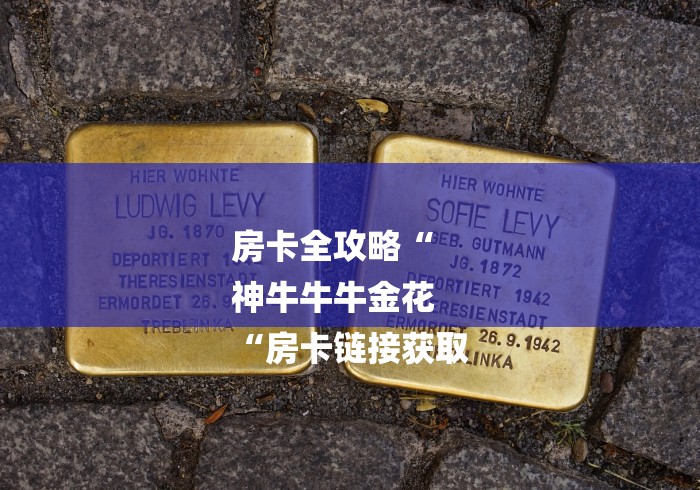 房卡全攻略“
神牛牛牛金花
“房卡链接获取