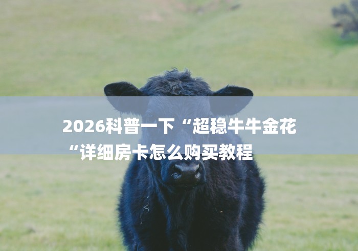2026科普一下“超稳牛牛金花
“详细房卡怎么购买教程
