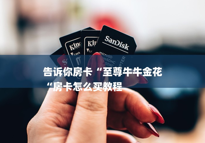 告诉你房卡“至尊牛牛金花
“房卡怎么买教程 告诉你房卡“至尊牛牛金花
“房卡怎么买教程