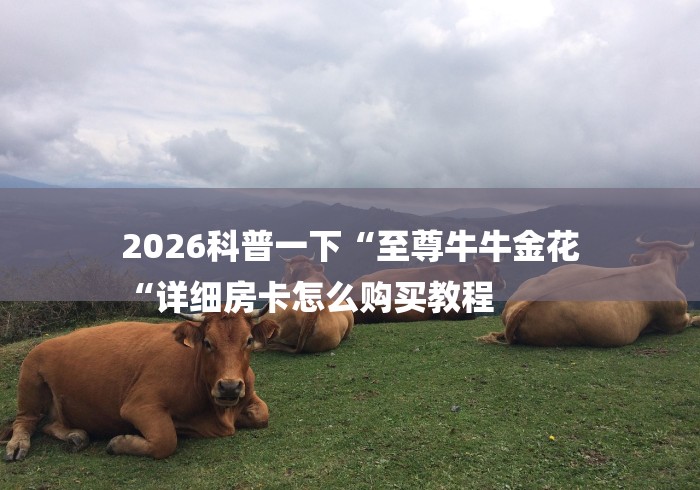 2026科普一下“至尊牛牛金花
“详细房卡怎么购买教程