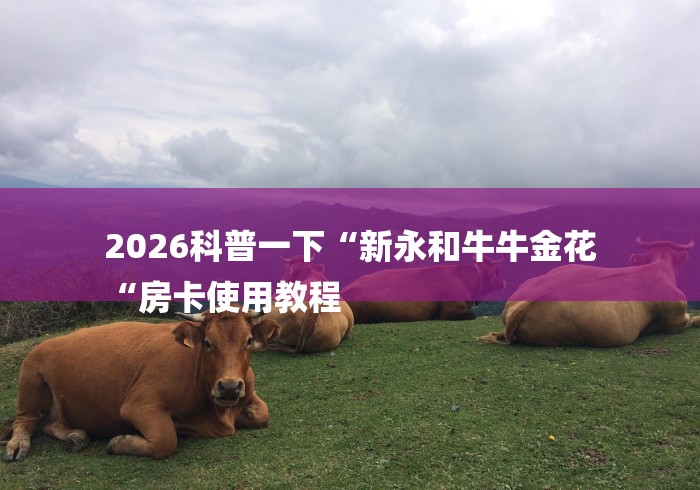 2026科普一下“新永和牛牛金花
“房卡使用教程 2026科普一下“新永和牛牛金花
“房卡使用教程