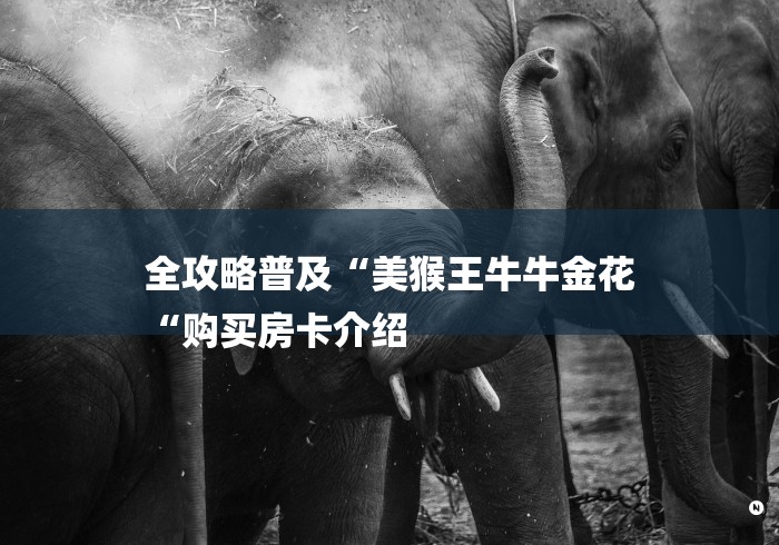 全攻略普及“美猴王牛牛金花
“购买房卡介绍 全攻略普及“美猴王牛牛金花
“购买房卡介绍