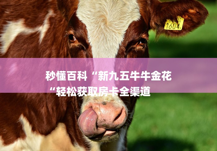秒懂百科“新九五牛牛金花
“轻松获取房卡全渠道