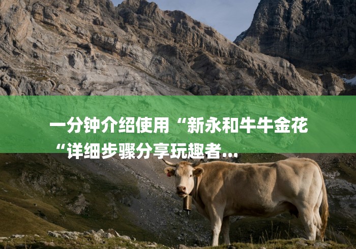 一分钟介绍使用“新永和牛牛金花
“详细步骤分享玩趣者...