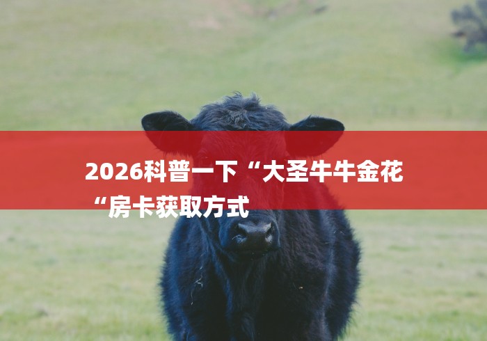 2026科普一下“大圣牛牛金花
“房卡获取方式 2026科普一下“大圣牛牛金花
“房卡获取方式