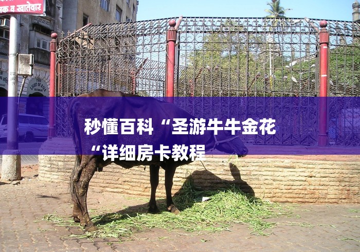 秒懂百科“圣游牛牛金花
“详细房卡教程