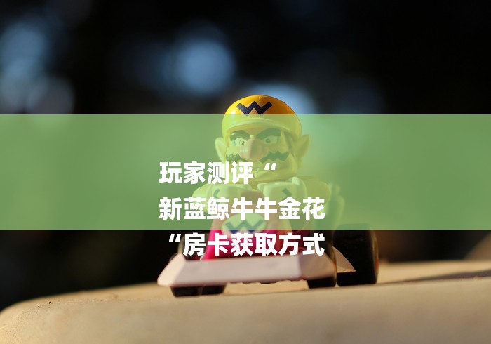 玩家测评“
新蓝鲸牛牛金花
“房卡获取方式 