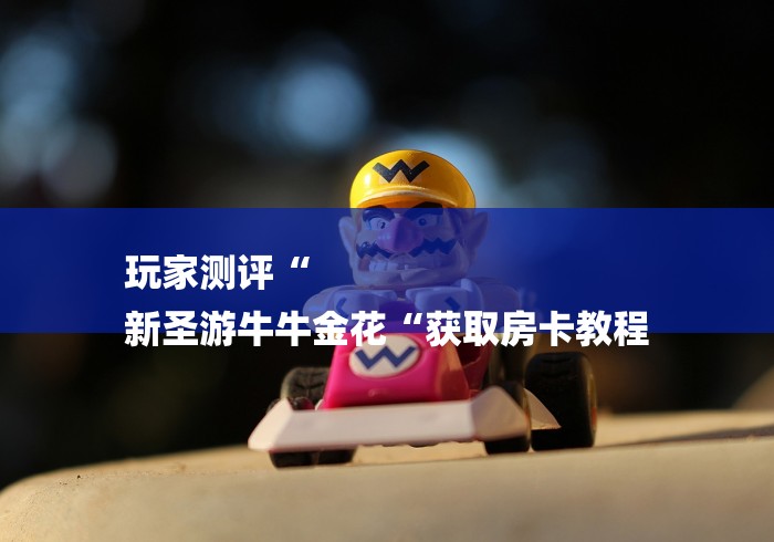 玩家测评“
新圣游牛牛金花“获取房卡教程