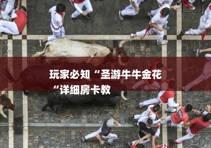 玩家必知“圣游牛牛金花
“详细房卡教 玩家必知“圣游牛牛金花
“详细房卡教