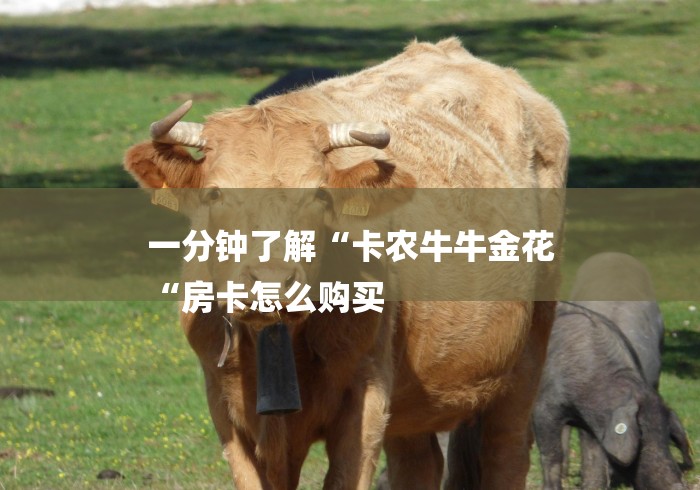 一分钟了解“卡农牛牛金花
“房卡怎么购买 一分钟了解“卡农牛牛金花
“房卡怎么购买