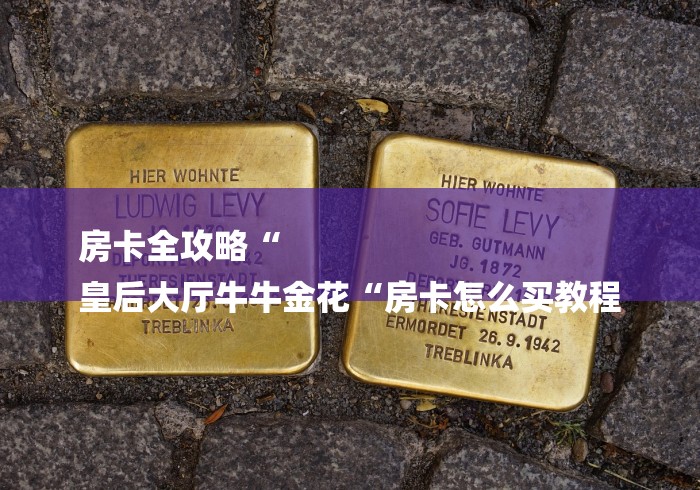 房卡全攻略“
皇后大厅牛牛金花“房卡怎么买教程 房卡全攻略“
皇后大厅牛牛金花“房卡怎么买教程