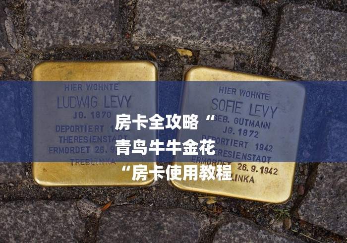 房卡全攻略“
青鸟牛牛金花
“房卡使用教程