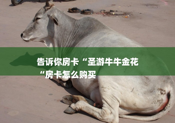 告诉你房卡“圣游牛牛金花
“房卡怎么购买 告诉你房卡“圣游牛牛金花
“房卡怎么购买