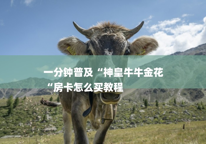 一分钟普及“神皇牛牛金花
“房卡怎么买教程