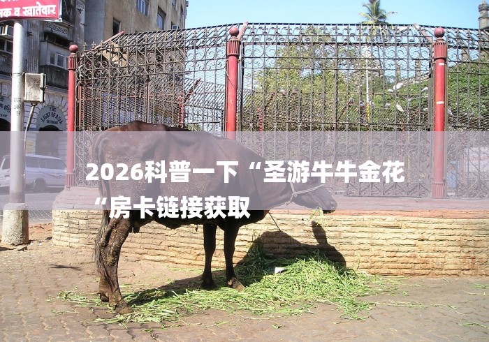 2026科普一下“圣游牛牛金花
“房卡链接获取 2026科普一下“圣游牛牛金花
“房卡链接获取