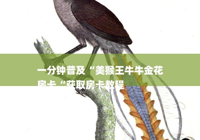 一分钟普及“美猴王牛牛金花
房卡“获取房卡教程 一分钟普及“美猴王牛牛金花
房卡“获取房卡教程