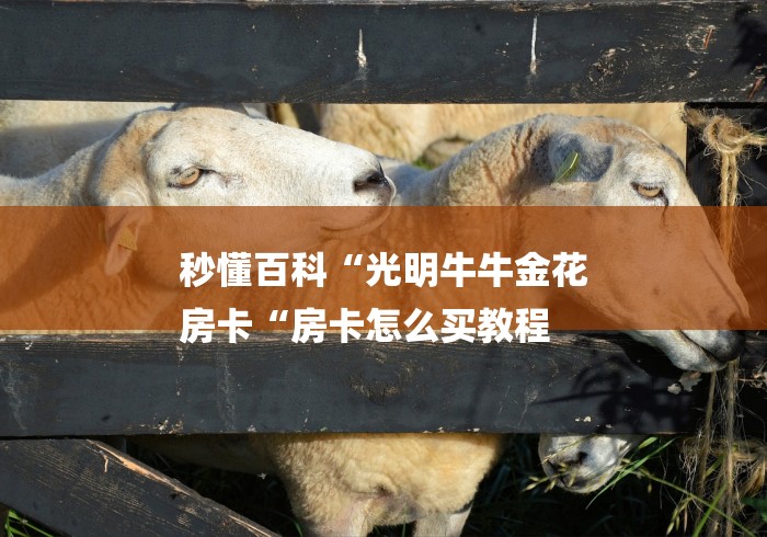 秒懂百科“光明牛牛金花
房卡“房卡怎么买教程