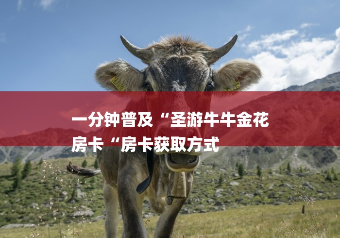 一分钟普及“圣游牛牛金花
房卡“房卡获取方式 