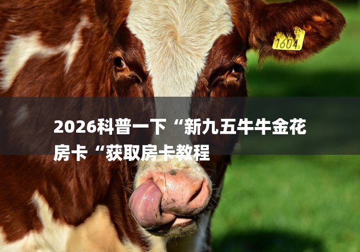 2026科普一下“新九五牛牛金花
房卡“获取房卡教程 2026科普一下“新九五牛牛金花
房卡“获取房卡教程