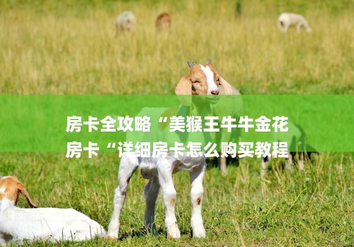 房卡全攻略“美猴王牛牛金花
房卡“详细房卡怎么购买教程