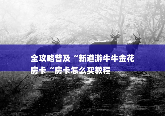 全攻略普及“新道游牛牛金花
房卡“房卡怎么买教程