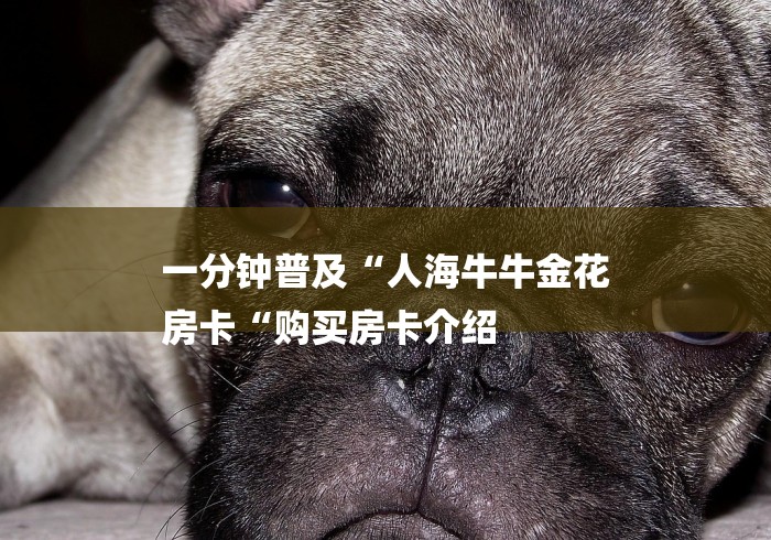 一分钟普及“人海牛牛金花
房卡“购买房卡介绍 一分钟普及“人海牛牛金花
房卡“购买房卡介绍