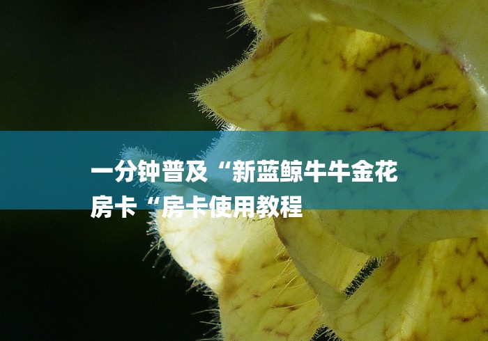 一分钟普及“新蓝鲸牛牛金花
房卡“房卡使用教程