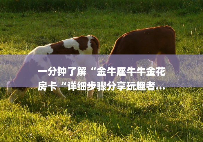 一分钟了解“金牛座牛牛金花
房卡“详细步骤分享玩趣者... 一分钟了解“金牛座牛牛金花
房卡“详细步骤分享玩趣者...