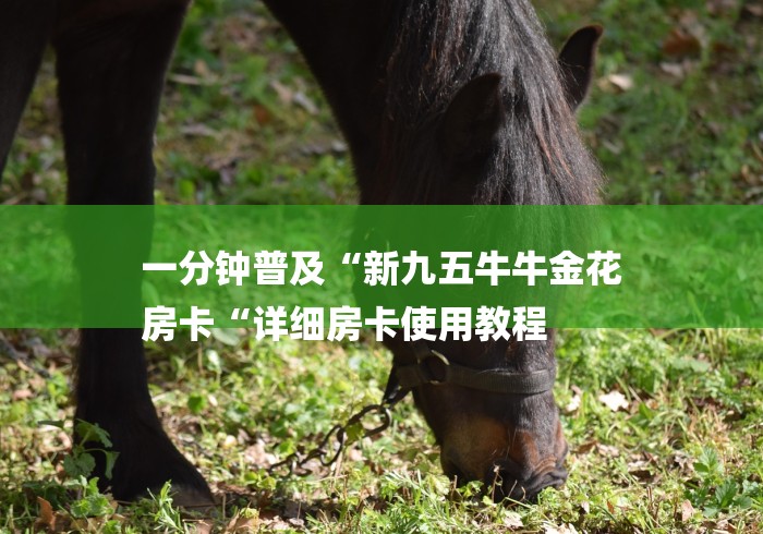 一分钟普及“新九五牛牛金花
房卡“详细房卡使用教程