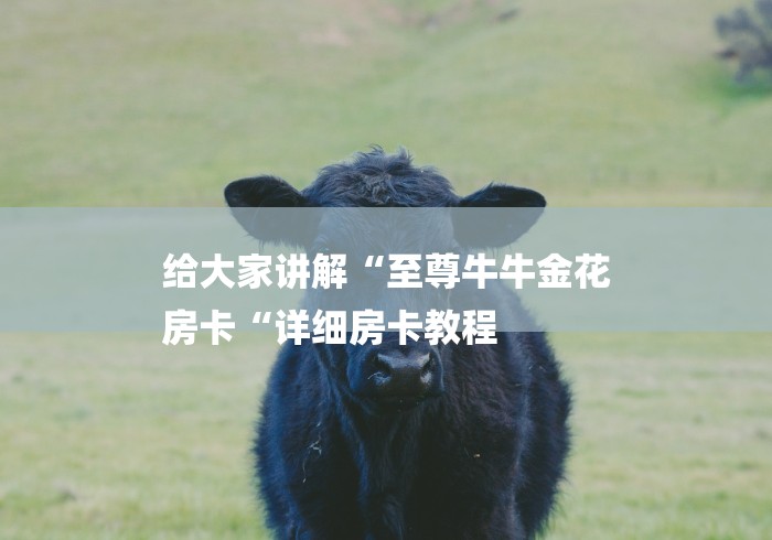 给大家讲解“至尊牛牛金花
房卡“详细房卡教程 给大家讲解“至尊牛牛金花
房卡“详细房卡教程