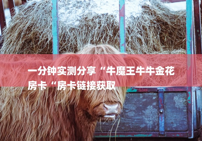 一分钟实测分享“牛魔王牛牛金花
房卡“房卡链接获取