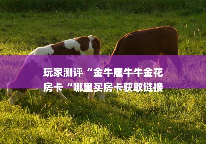 玩家测评“金牛座牛牛金花
房卡“哪里买房卡获取链接