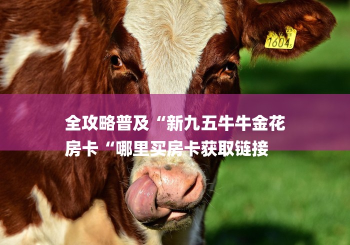 全攻略普及“新九五牛牛金花
房卡“哪里买房卡获取链接 全攻略普及“新九五牛牛金花
房卡“哪里买房卡获取链接