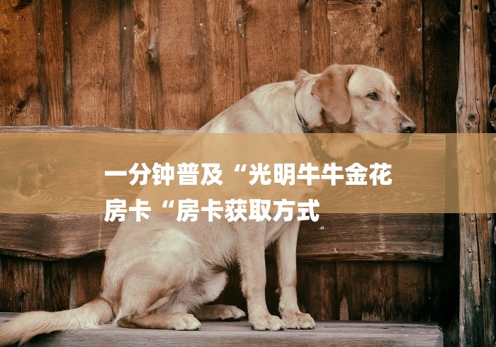 一分钟普及“光明牛牛金花
房卡“房卡获取方式