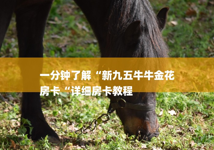 一分钟了解“新九五牛牛金花
房卡“详细房卡教程