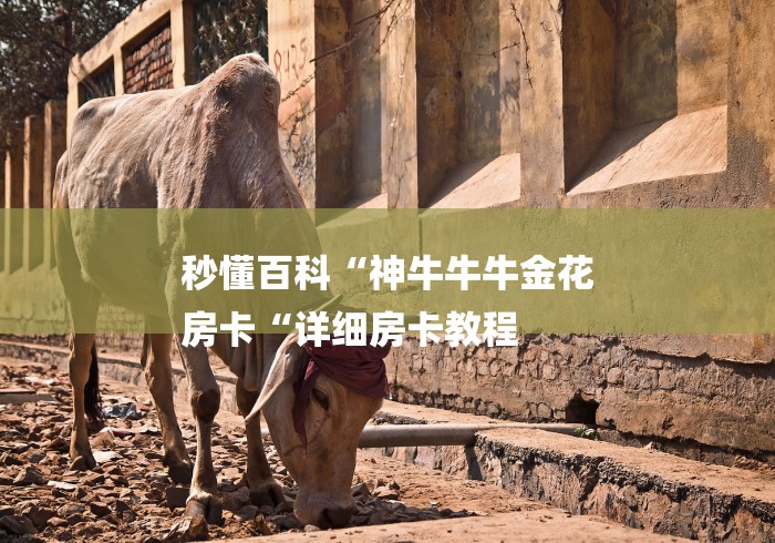 秒懂百科“神牛牛牛金花
房卡“详细房卡教程 秒懂百科“神牛牛牛金花
房卡“详细房卡教程