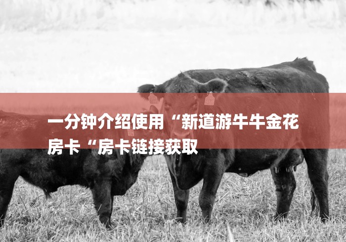 一分钟介绍使用“新道游牛牛金花
房卡“房卡链接获取 一分钟介绍使用“新道游牛牛金花
房卡“房卡链接获取