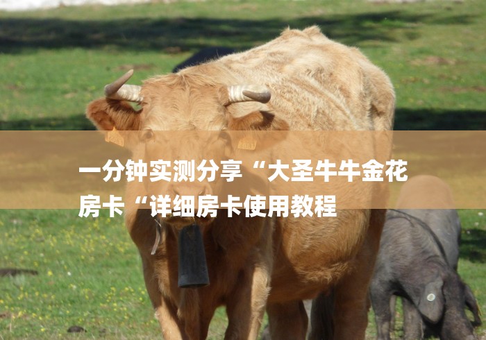 一分钟实测分享“大圣牛牛金花
房卡“详细房卡使用教程